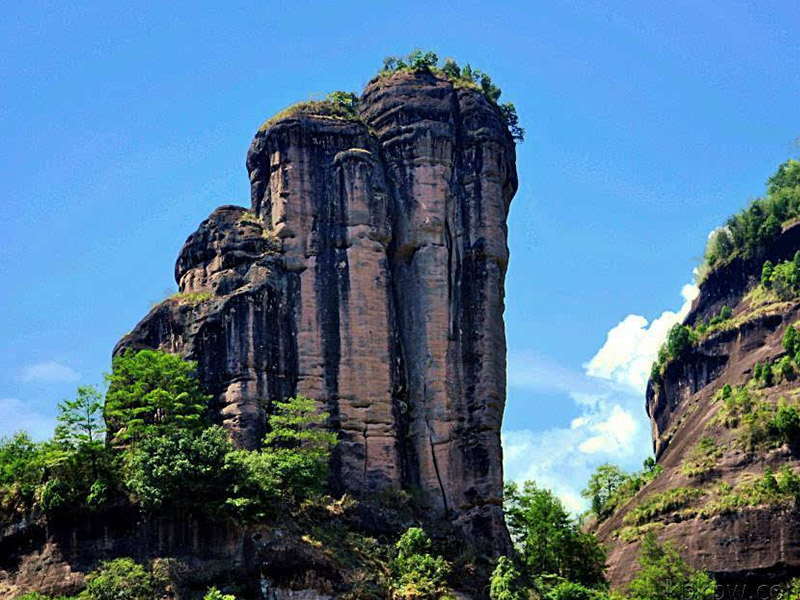 【作夥到陣去旅行】金廈小三通~武夷山九曲溪、世界遺產鼓浪嶼、沙坡尾避風塢一晚國際五星住宿飯店五日